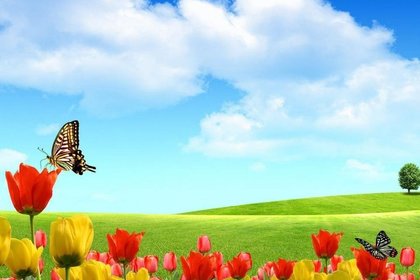 日本の皇室／ジャズフルート